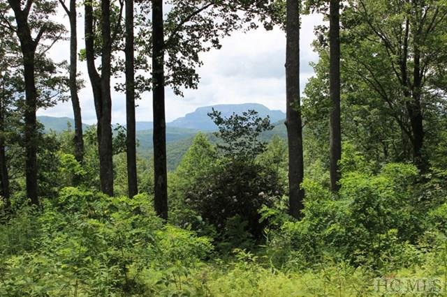 12 Whitewater Ridge Road - Photo 1
