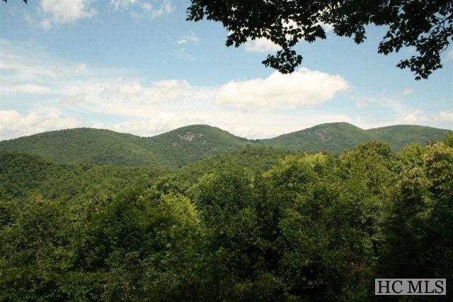 390 Panther Mountain Road - Photo 1