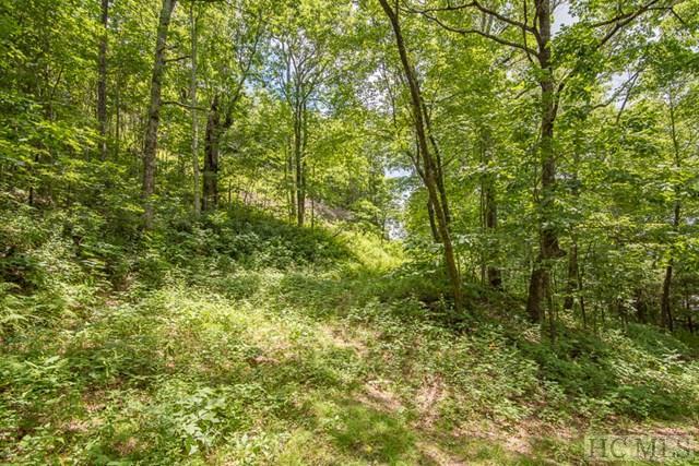 Lot #1 King Gap Road - Photo 1