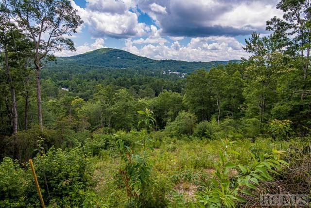 Lot 46A South Drive - Photo 1