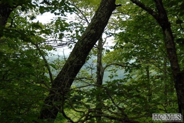 0 Upper Brushy Face Road - Photo 1
