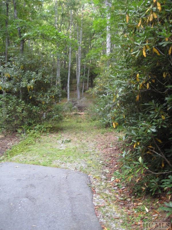 28 Branchwater Trail - Photo 1