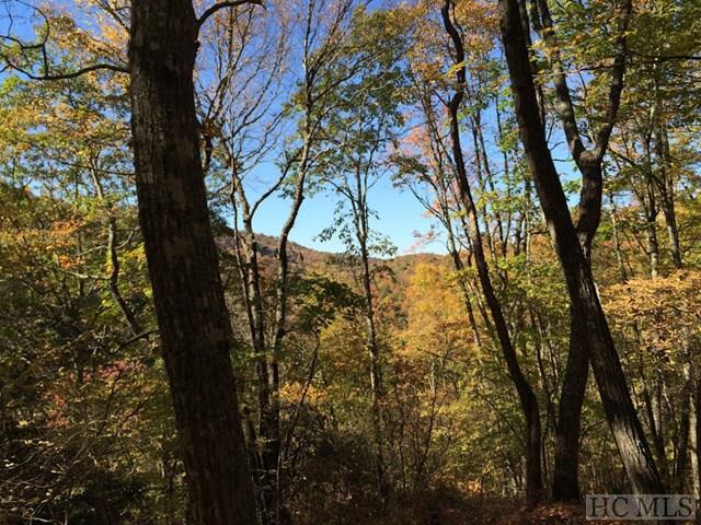 Lot #10 Trailhead Way - Photo 1