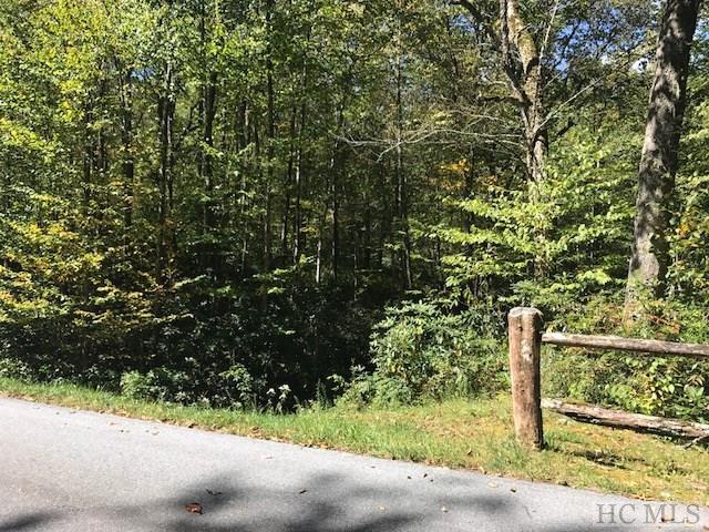 Lot 224 Rainbow Falls Trail - Photo 1 Lot 224 Rainbow Falls Trail - Photo 1
