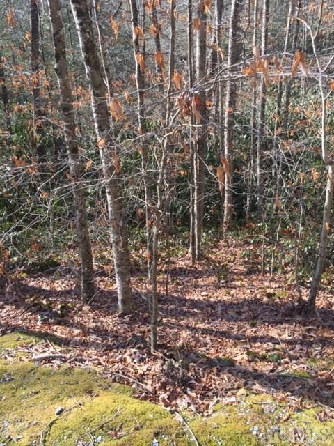 000 Maidenhaire Lane - Photo 1