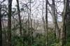 TBD Summit Trail - Photo 1