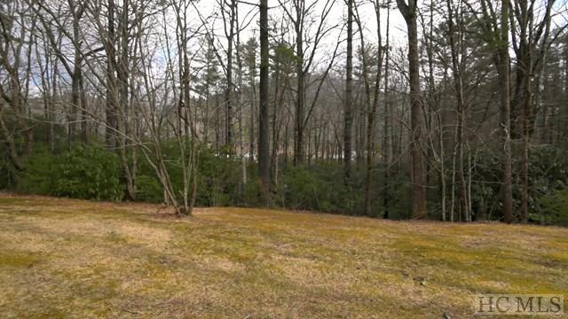17844 Rosman Hwy - Photo 1