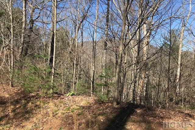 TBD Upper Whitewater Road - Photo 1
