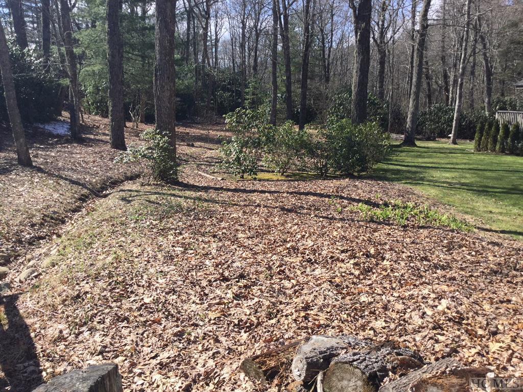 TBD Whiteside Mountain Road - Photo 1
