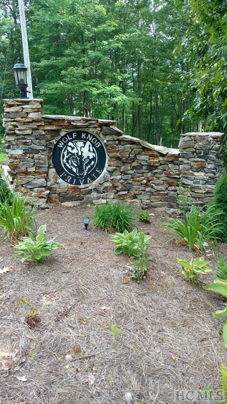 2 Aster Trail - Photo 1