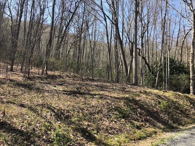 Lot 24 Cullowhee Forest Road - Photo 1
