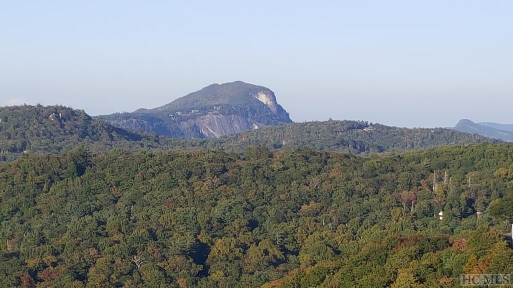 454 Upper Brushy Face Road - Photo 1
