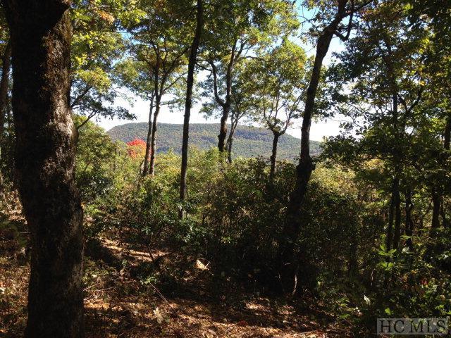 00 Windy Top Road - Photo 1