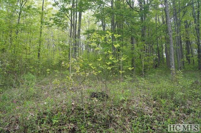 LOT 62 Valley View - Photo 1