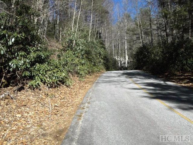 Lot 11 Gold Creek Road - Photo 1