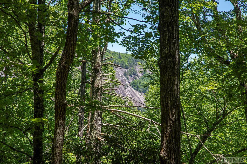 Lot 113 Lonesome Valley Rd - Photo 1