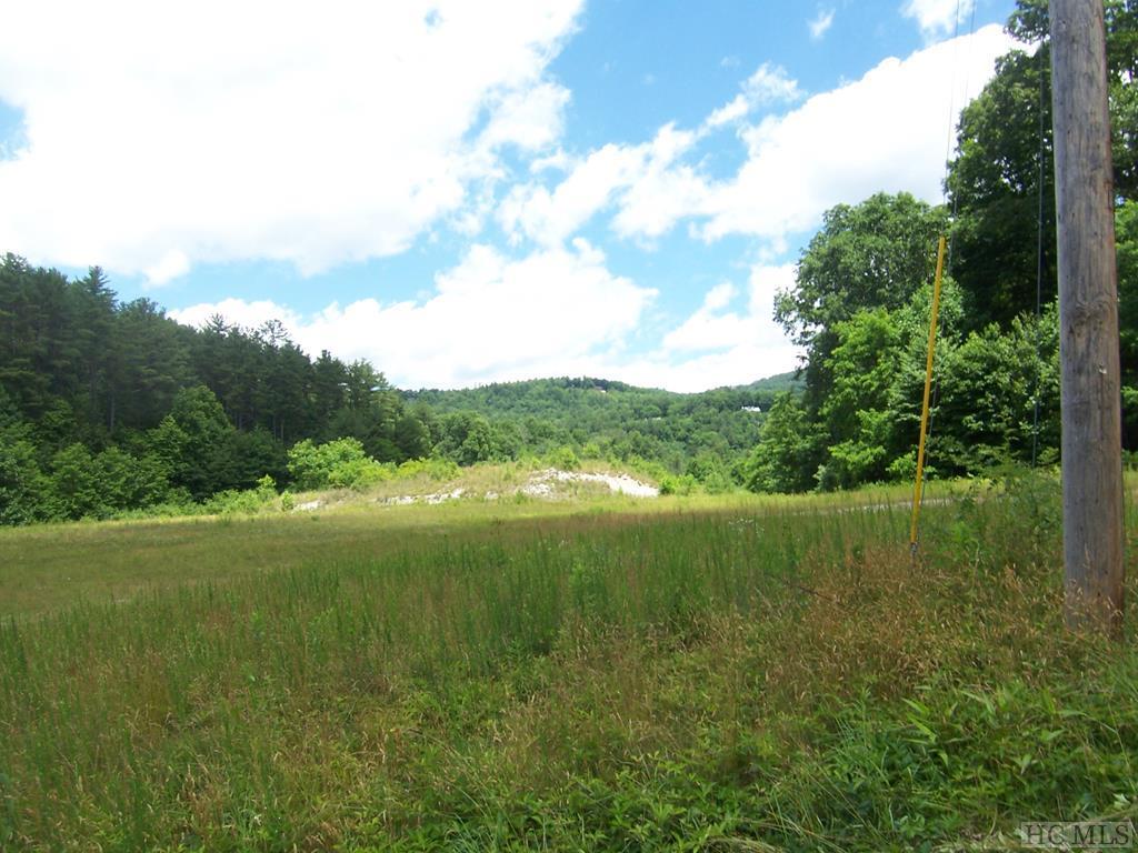 664/650 Us Hwy 64W - Photo 1