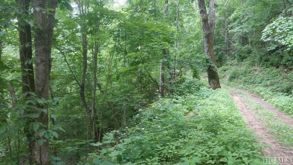 Lot #52 Parachute Ridge - Photo 1