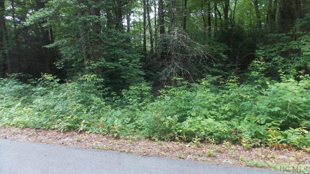 Lot 2 Grouse Ridge Lane - Photo 1