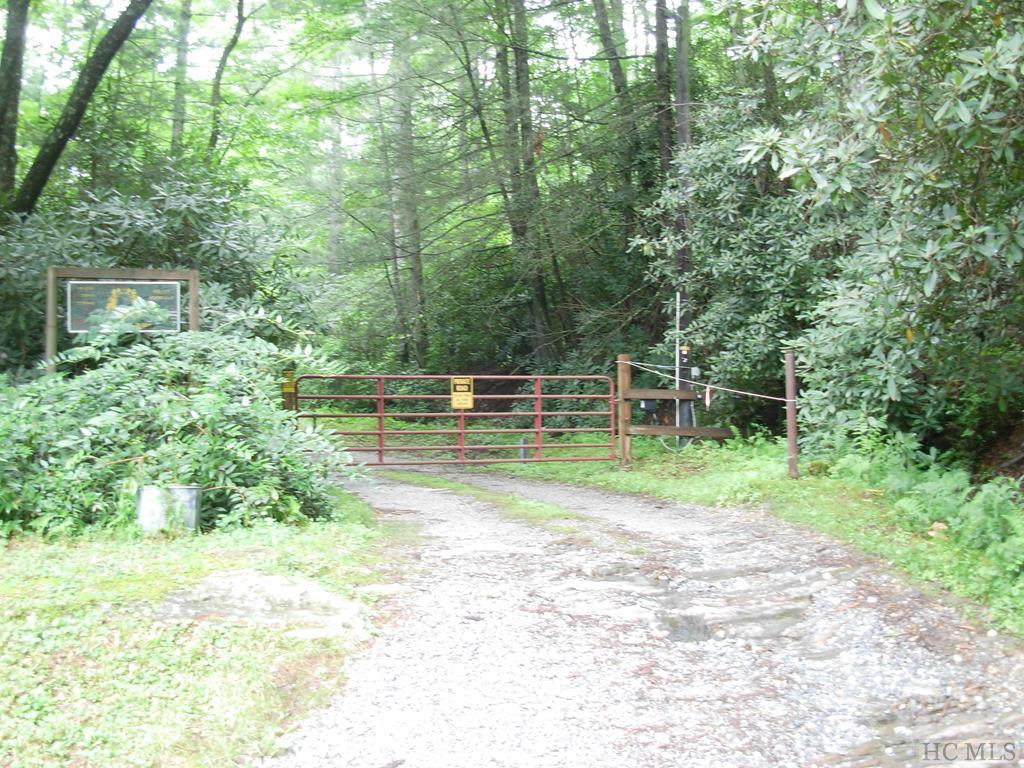 34 Grimshawe Blvd - Photo 1