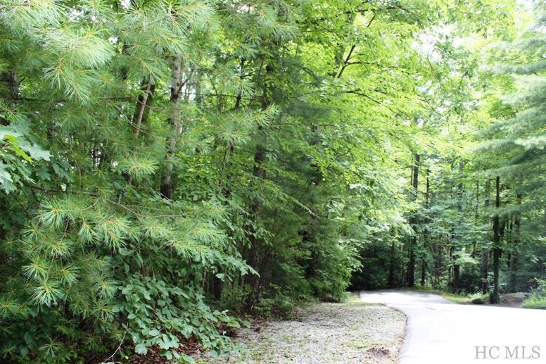Lot 11 Country Club Estates Drive - Photo 1