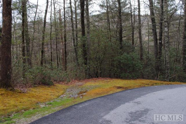 Lot S-10 Cherokee Trace - Photo 1