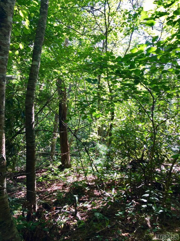 Lot 49 Satulah Ridge Road - Photo 1