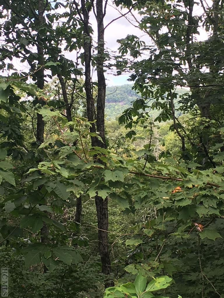 Lot 277 Crescent Trail - Photo 1