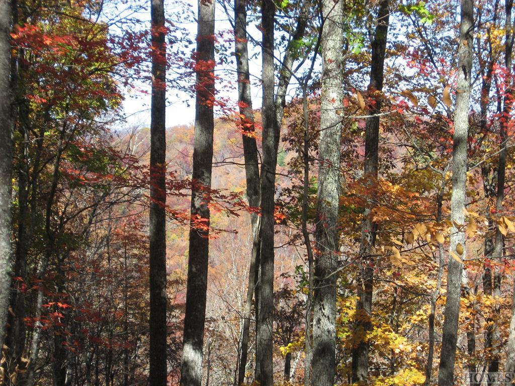 TBD Joyful Crest - Photo 1