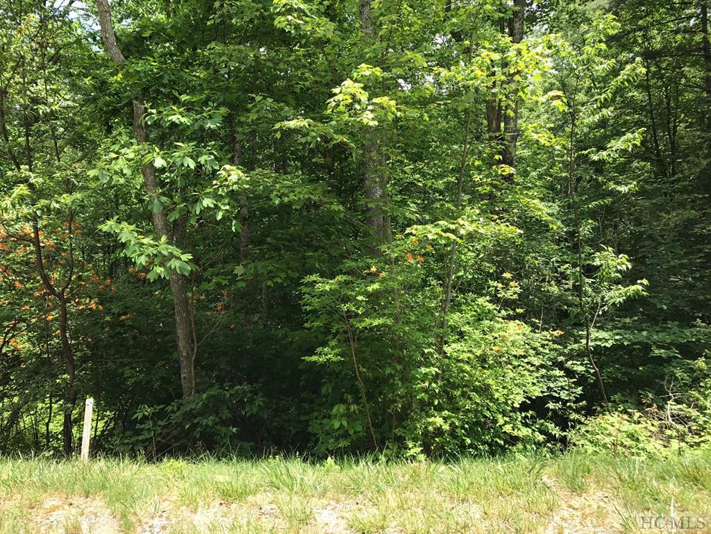E-235 Rainbow Falls Trail - Photo 1