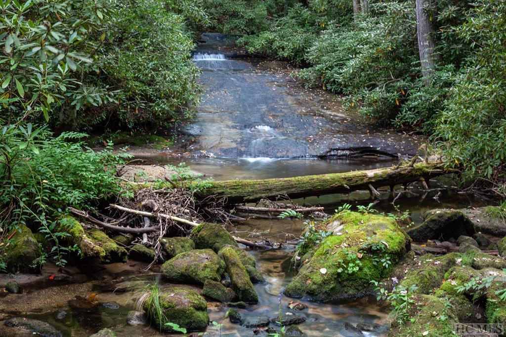 Lot 23 Lonesome Valley Rd - Photo 1