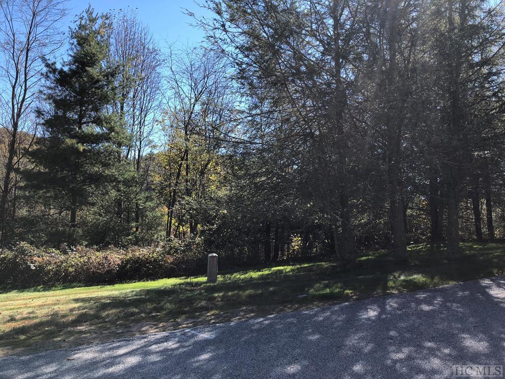 Lot 17 Trillium Ridge Road - Photo 1