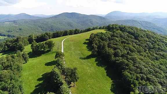 TBD Bee Tree Road - Photo 1