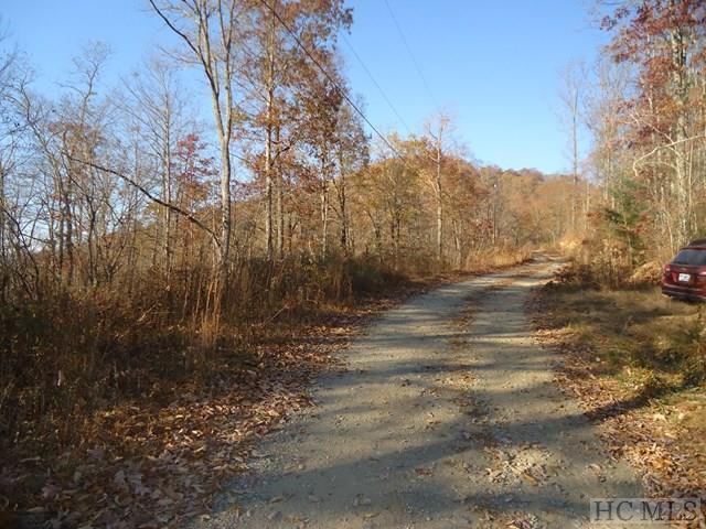 100 Hunter Jim Creek Road - Photo 1