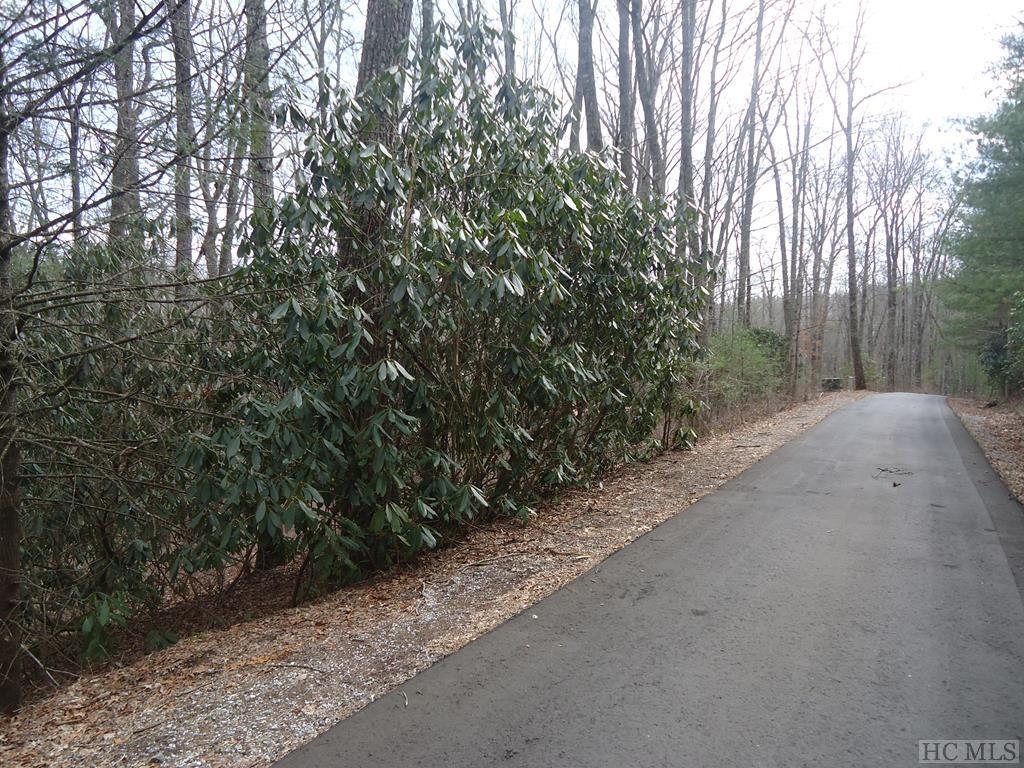 Lot 7 Joshs Trail - Photo 1