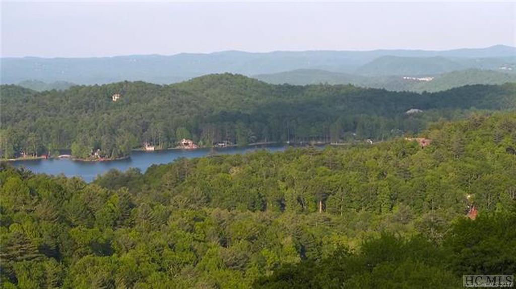 251 Toxaway Court - Photo 1