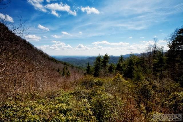 TBD Bluevalley Falls Pointe - Photo 1
