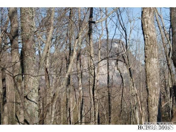 TBD Hardscrabble Ridge Road - Photo 1