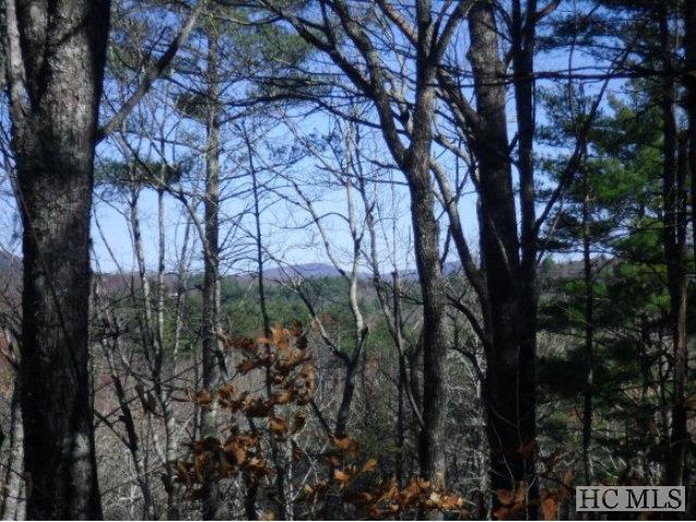 Lot 104 Tanawha Drive - Photo 1