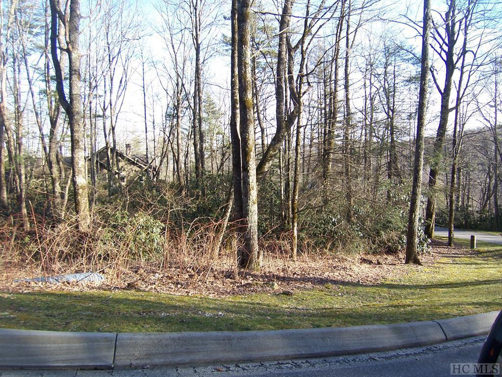 Lot 143 Lost Trail - Photo 1