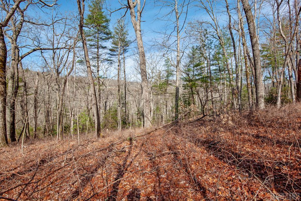 Lot 77 Long Lake Trail - Photo 1