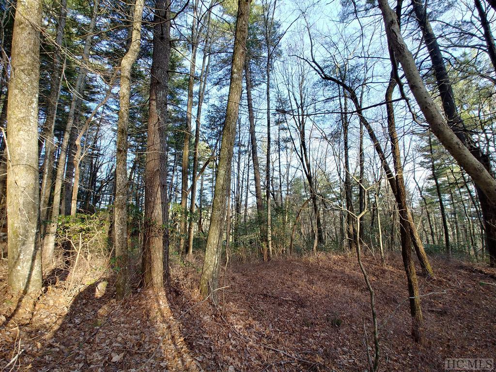 B J L030 Cherokee Trace - Photo 1