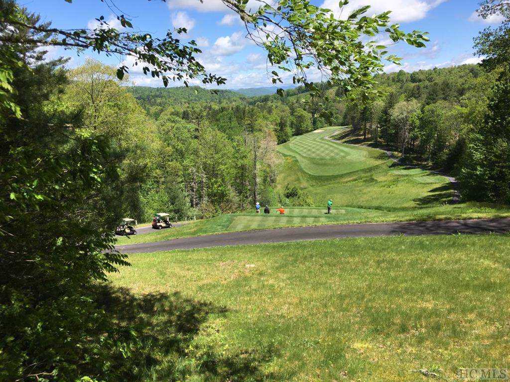 Lot 40 Lilium Lane - Photo 1