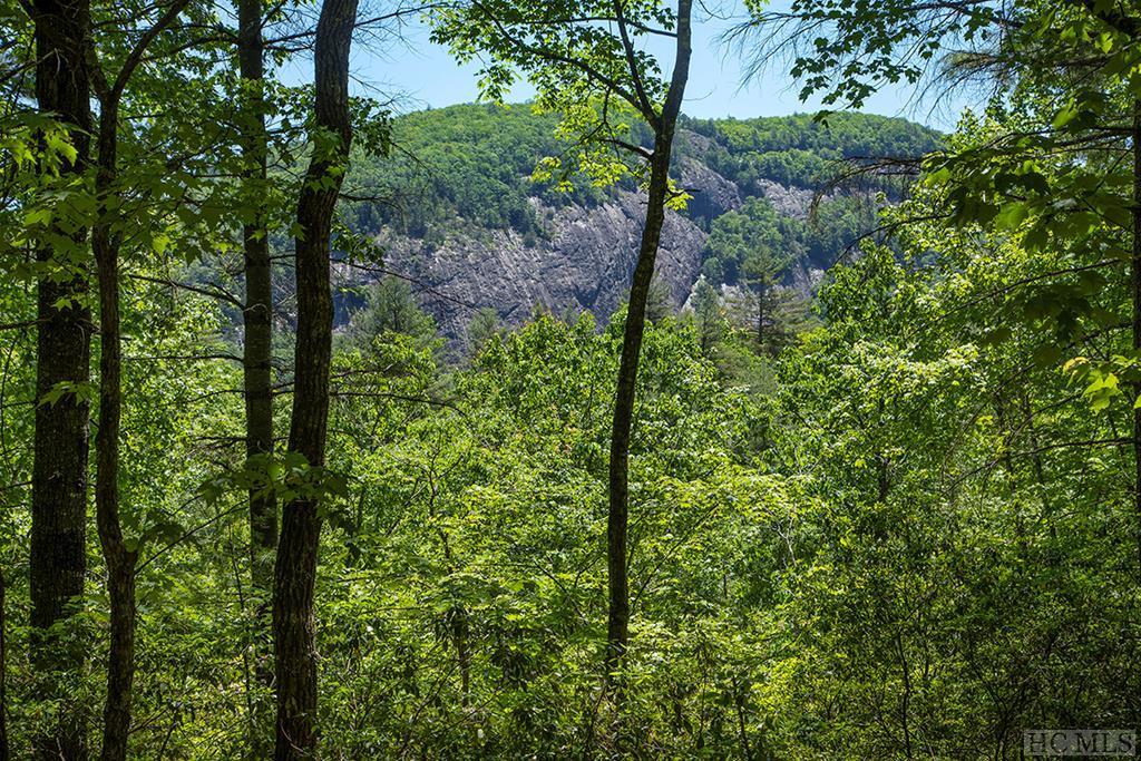 Lot 111 Lonesome Valley Rd - Photo 1