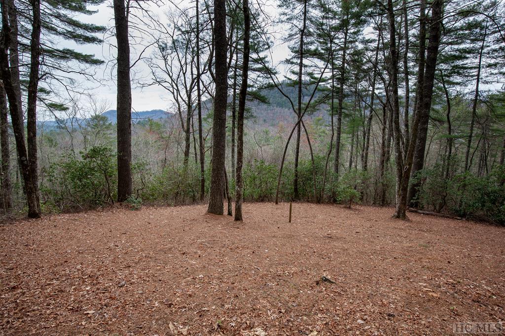 Lot 68 Long Lake Trail - Photo 1