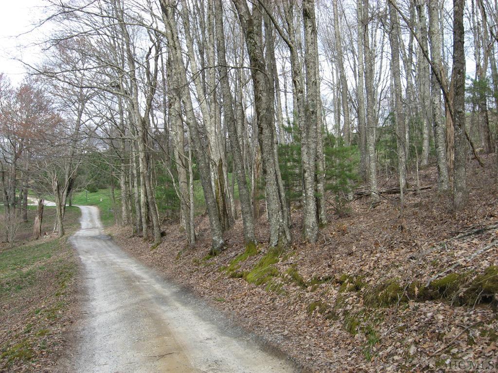 TBD Galloping Gopher Trail - Photo 1