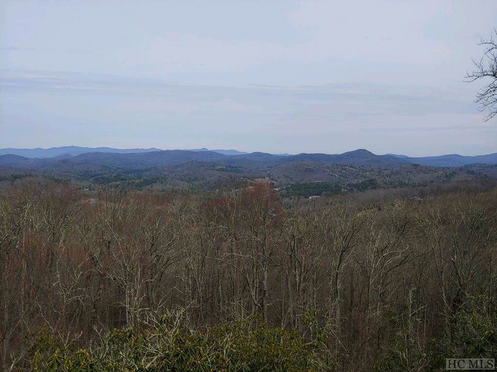 Lot 160 Windrush Trail - Photo 1