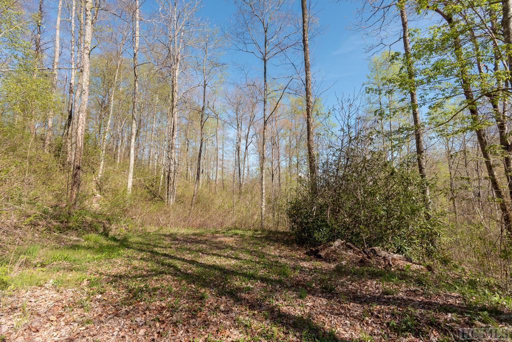 Lot 41 Sims Valley Road - Photo 1