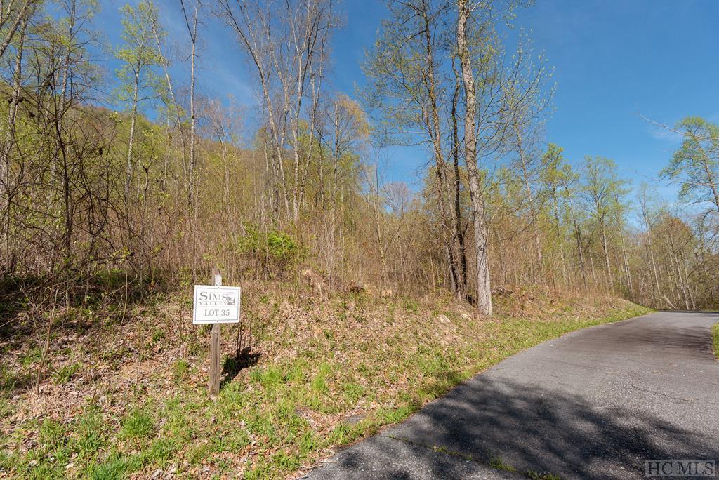 Lot 35 Sims Valley Road - Photo 1