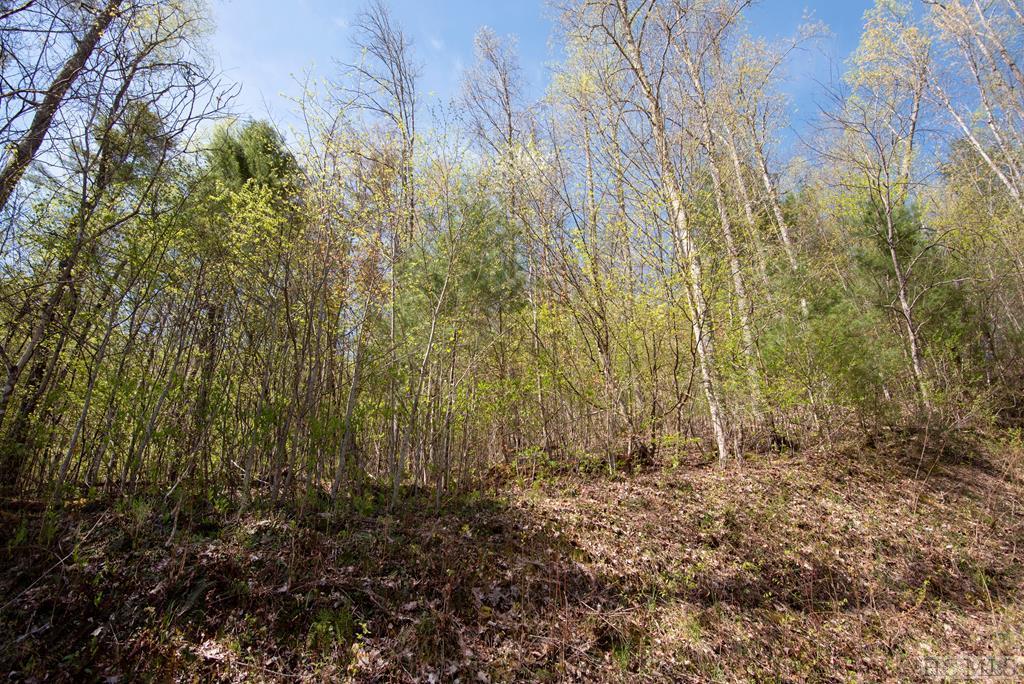 Lot 86 Valley Overlook Drive - Photo 1